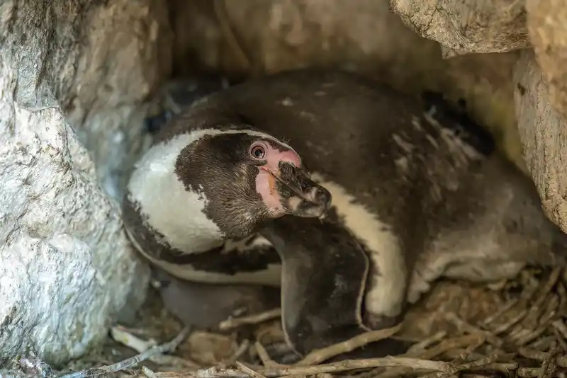 Registro fotográfico de la campaña 2