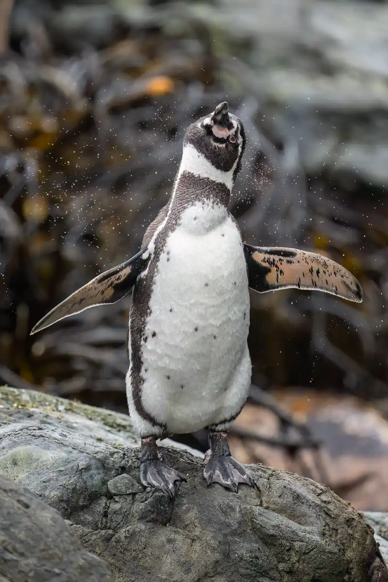 Registro fotográfico de la campaña 4